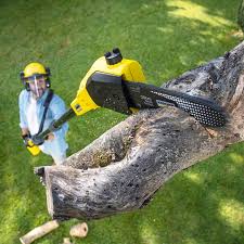 Best Artificial Turf Installation  in Port Jervis, NY