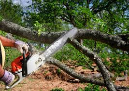 Best Grass Overseeding  in Port Jervis, NY