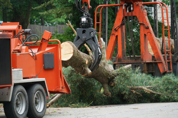 Best Seasonal Cleanup (Spring/Fall)  in Port Jervis, NY